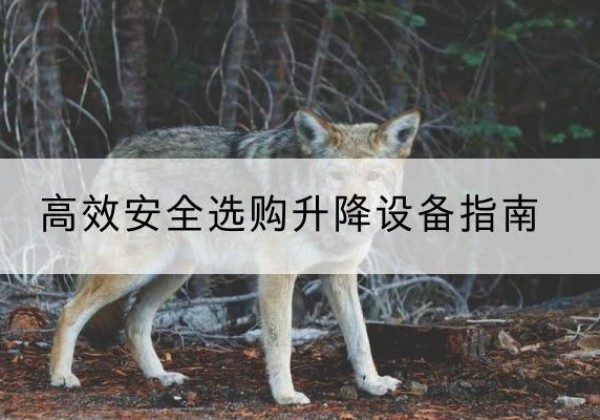 南县升降货梯厂家推荐-*安全选购升降设备指南