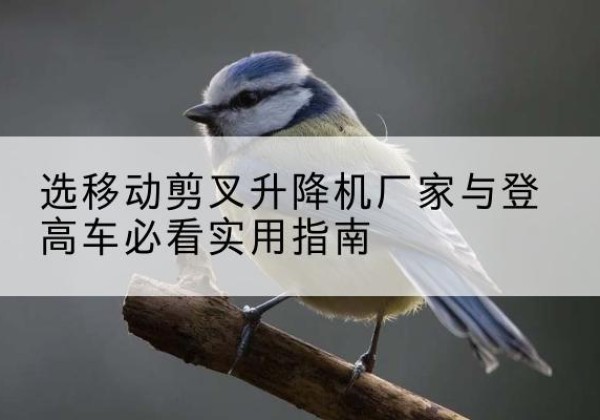 南县电动升降机厂家-选移动剪叉升降机厂家与登高车必看实用指南
