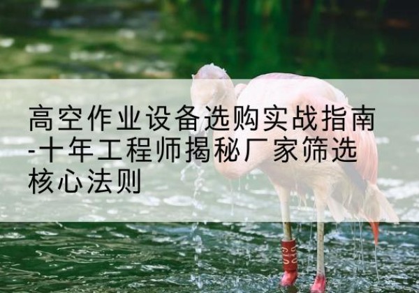 南县剪叉式升降机厂家-高空作业设备选购实战指南-十年工程师揭秘厂家筛选核心法则